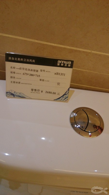 挑選馬桶